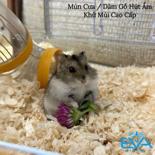 Mùn Cưa/Dăm Gỗ Hút Ẩm Khử Mùi Cao Cấp 500g- Thích Hợp Lót Chuồng Thú Cưng, Nuôi Côn Trùng