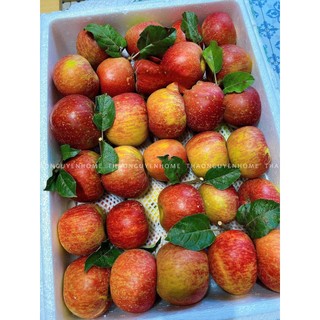 Táo hoa mật quả bẹt, táo tươi - 3kg