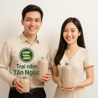 Phôi nấm Bào ngư (1 kiện 03 bịch)