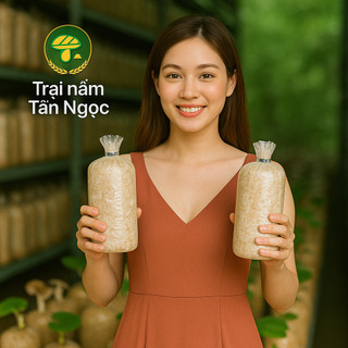 Phôi nấm Mộc nhĩ - (01 kiện 10 phôi)