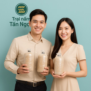 Phôi nấm Bào ngư (1 kiện 10 phôi)