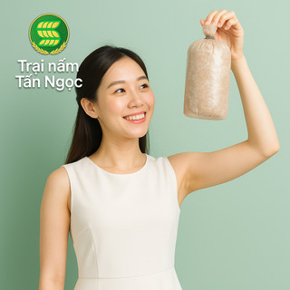 Phôi nấm Bào ngư và Sò (8 Bào ngư, 8 Sò)