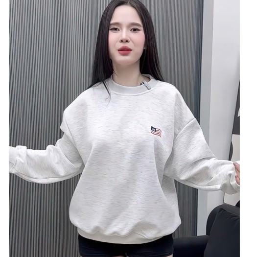 Áo sweater thêu cờ Mỹ nỉ 2 da cao cấp áo nỉ nữ dài tay bo gấu nhiều màu hottrend hàng loại đẹp A24 PANOSI | BigBuy360 - bigbuy360.vn