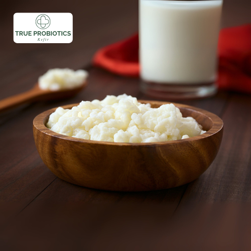 Nấm Sữa Kefir - Con Men Làm Sữa Chua Tại Nhà Cực Dễ, Không Cần Ủ Nhiệt, Thành Phẩm Thơm Ngon Sau 12 