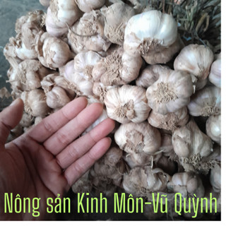 Tỏi ta khô Kinh Môn HẢI DƯƠNG