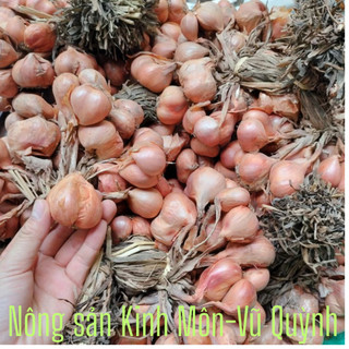 Hành Khô [Đầu Mùa] 3Kg Loại 1 Chuẩn Gốc Kinh Môn, Hải Dương. To, Căng, Mẩy, Chuẩn Chất Lượng, Gia Vị Cho Sức Khỏe