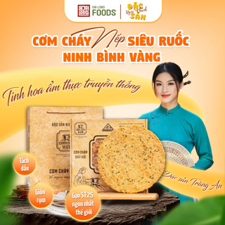 Cơm cháy đáy nồi Đại Long siêu ruốc Ninh Bình Vàng xách quà biếu tặng sang trọng 700g