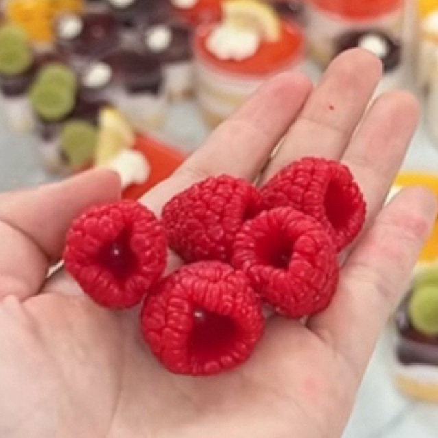 khuôn silicon vỉ 6 mâm xôi rỗng lỗ khuôn chữ nhật