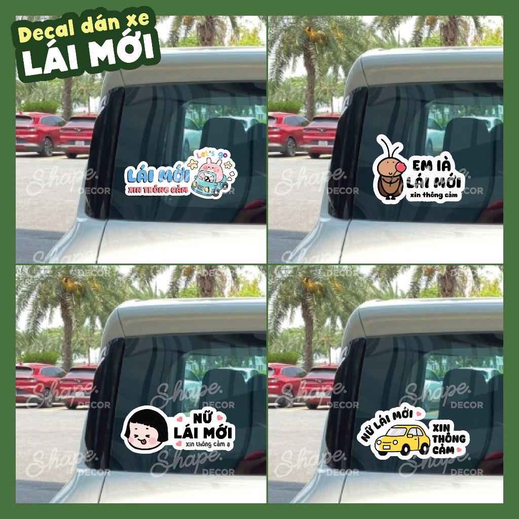 Decal Dán Kính Ô Tô