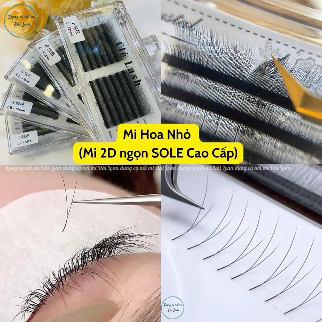 Mi Hoa Nhỏ 2D Ngọn Mi Sole Cong C-CC-J-LC-LB-LJ -Độ Dày 0.05-mix 9-15mm Siêu Mềm Mượt Bắt Keo Tốt Ch