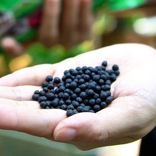 Phân Bón Hữu Cơ Đạm Cá Hồi Humic Túi 1kg - Bung Chồi, Bóng Lá, Phục Hồi Cây