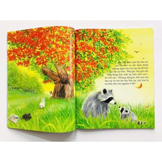 Sách Bộ Gấu mèo Chester tự chọn