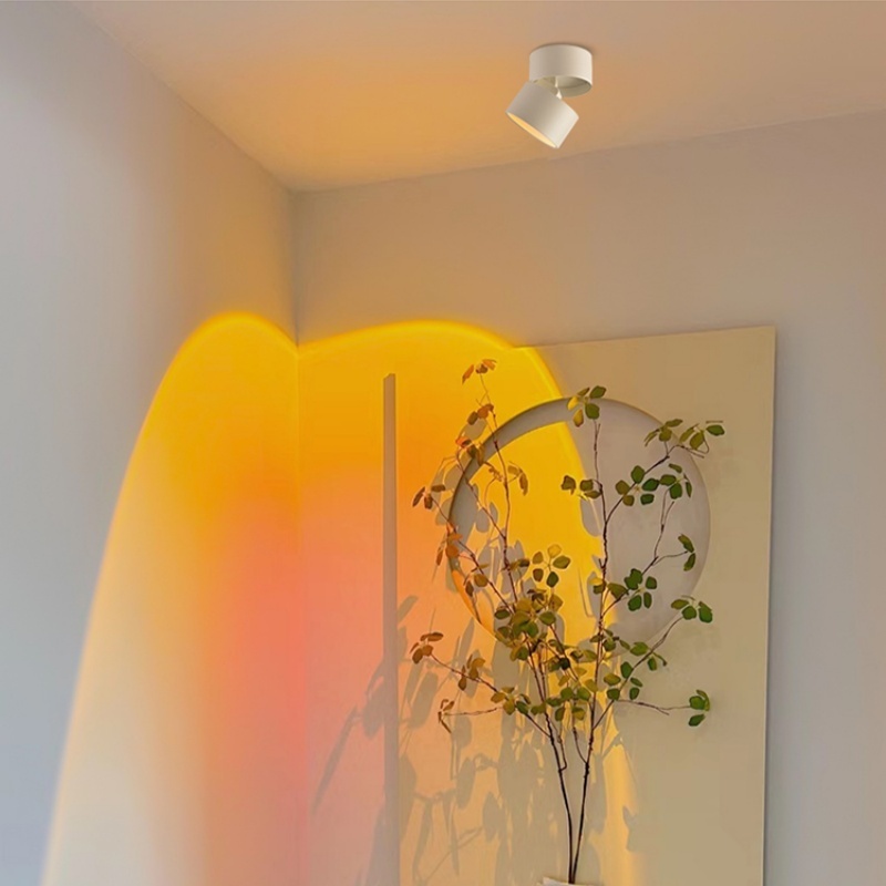 đèn rọi hoàng hôn,bình minh xanh tím 10W,đèn decor,đèm trang trí,đèn rọi gắn trần,âm tường