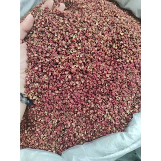 Hạt xuyên tiêu đỏ (1kg) / Hoa tiêu Tứ Xuyên cay tê