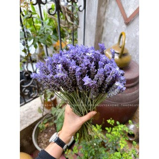 Xịt bàn cỏ thơm