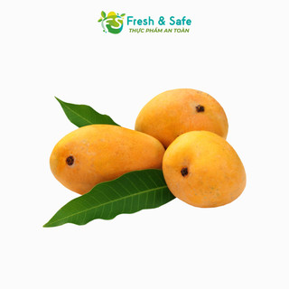 [Chỉ Giao HCM] Xoài Cát Chu - 1kg