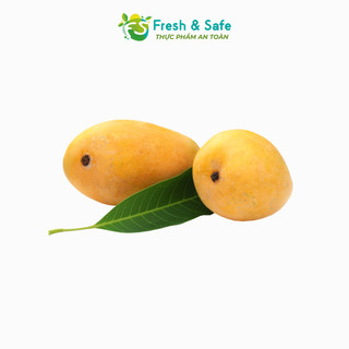 [Chỉ Giao HCM] Xoài Cát Chu - 1kg