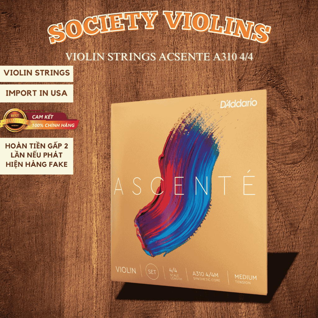 Chính Hãng Dây đàn violin Ascente Violin Strings D'Addario Nhập Khẩu Mỹ