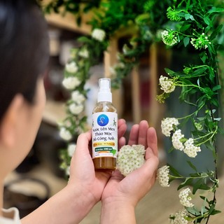 Nước Lên Men Thảo Mộc Bồ Công Anh