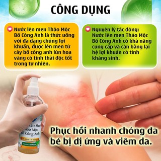 Nước Lên Men Thảo Mộc Bồ Công Anh