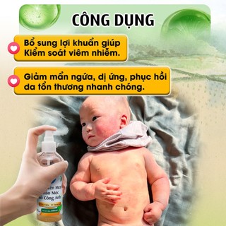Nước Lên Men Thảo Mộc Bồ Công Anh