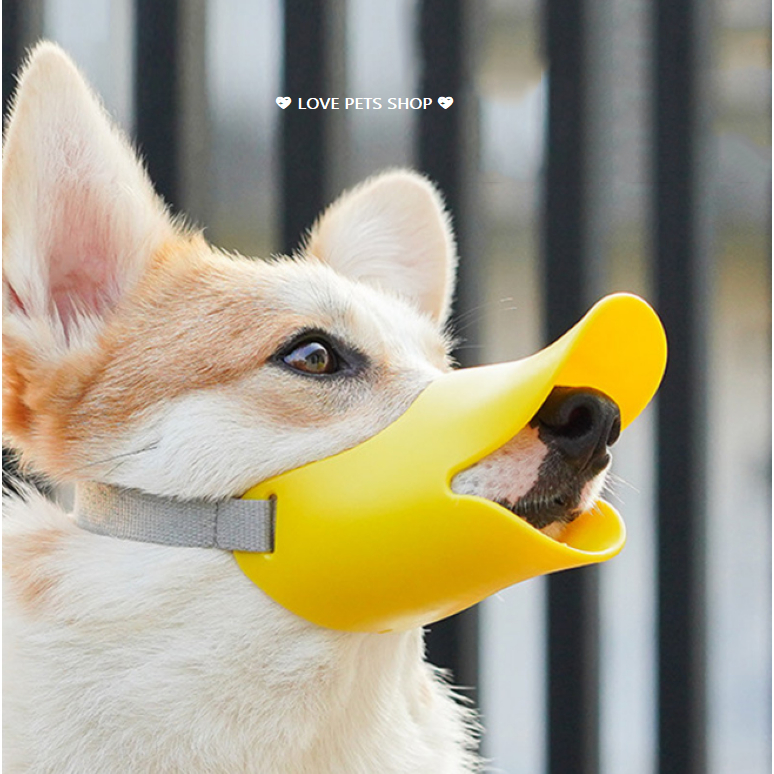 (Bán sỉ) Rọ mõm Chó hình mỏ vịt - Love pets shop