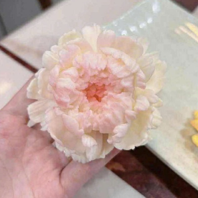 Khuôn silicon hoa anh thảo khuôn piping gel socola rau câu