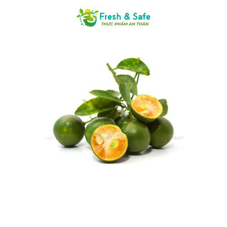 [Chỉ Giao HCM] Tắc Quất - 500g