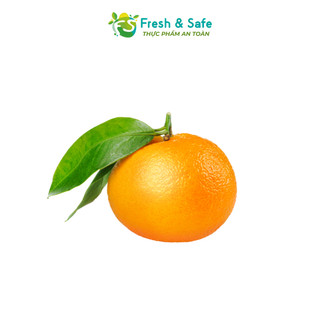 [Chỉ Giao HCM] Quýt Úc TQ  - 1kg