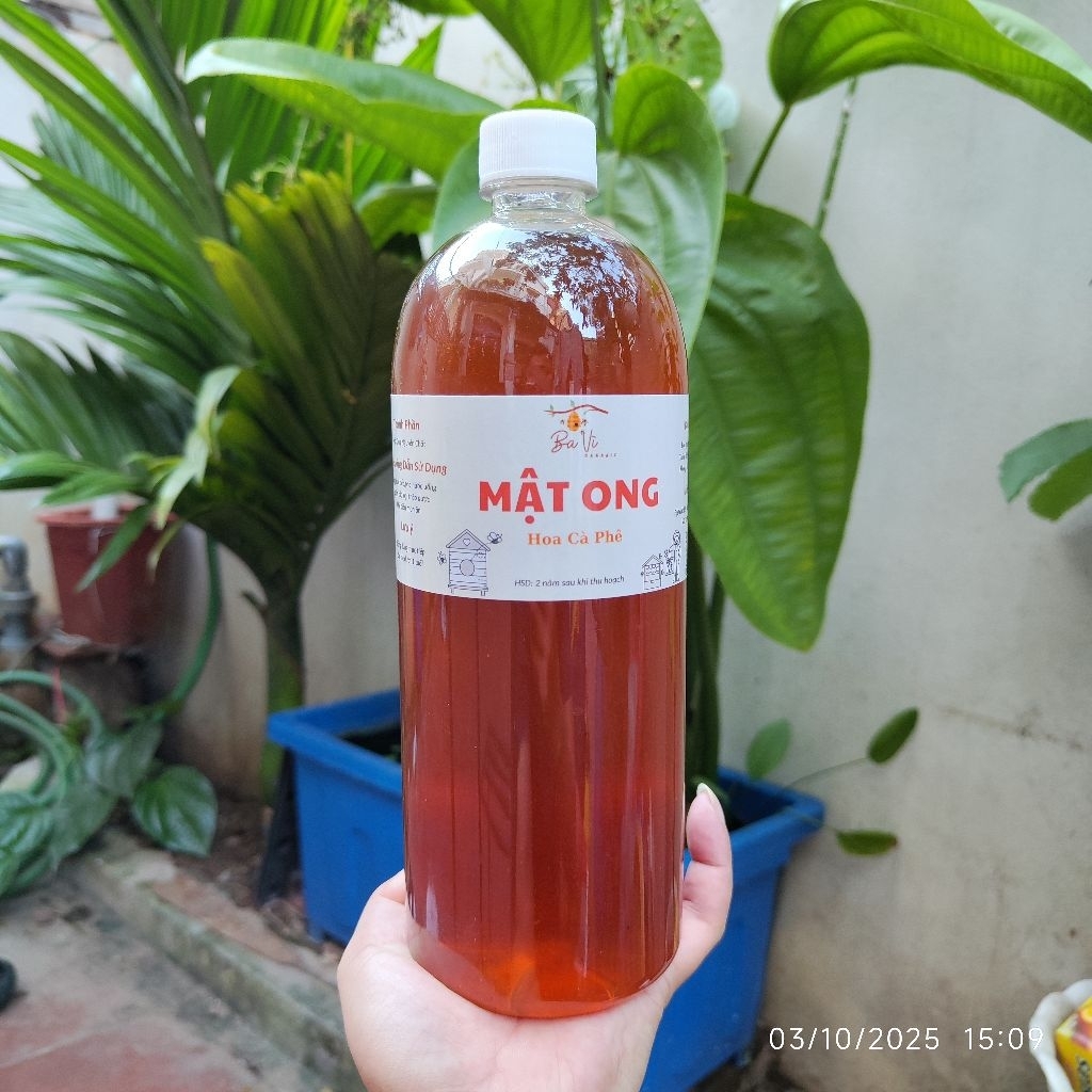 Mật Ong Hoa Cà Phê Nguyên Chất - Tự Nhiên Và Hữu Cơ 🍯🌸