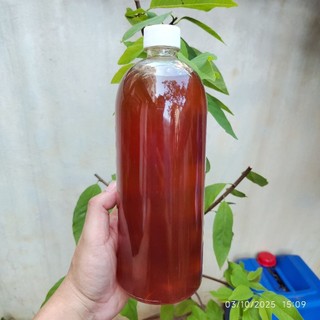Mật Ong Hoa Cà Phê Nguyên Chất - Tự Nhiên Và Hữu Cơ 🍯🌸