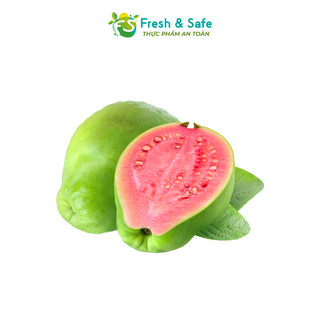 [Chỉ Giao HCM] Ổi trân châu/ Ổi ruột đỏ - 1kg