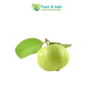 [Chỉ Giao HCM] Ổi có hạt/ Ổi Lê/ Ổi Đài Loan - 1kg
