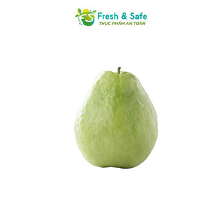[Chỉ Giao HCM] Ổi Nữ Hoàng Không Hạt - 1kg