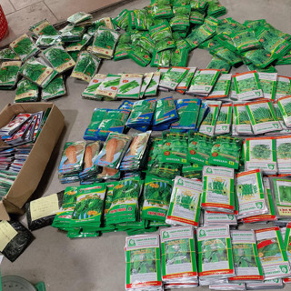 Hạt Giống Rau - Củ - Quả Chịu Nhiệt - Nảy Mầm Cao - Trồng Quanh Năm - Hàng Công Ty