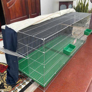  Lồng Tập Lực 50x100cm Khoảng Cách Nan 0.9cm Có Khay Lót Cho Chào Mào Yến Phụng Chim Sâu Khuyên 