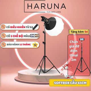 Đèn livestream, bộ đèn trợ sáng softbox cầu BEDIRO 800SS chân 2m8 hỗ trợ ánh sáng 3 màu quay video chụp hình