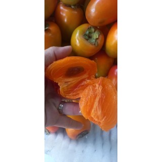 Hồng Trứng Láng Đà Lạt 1 kí