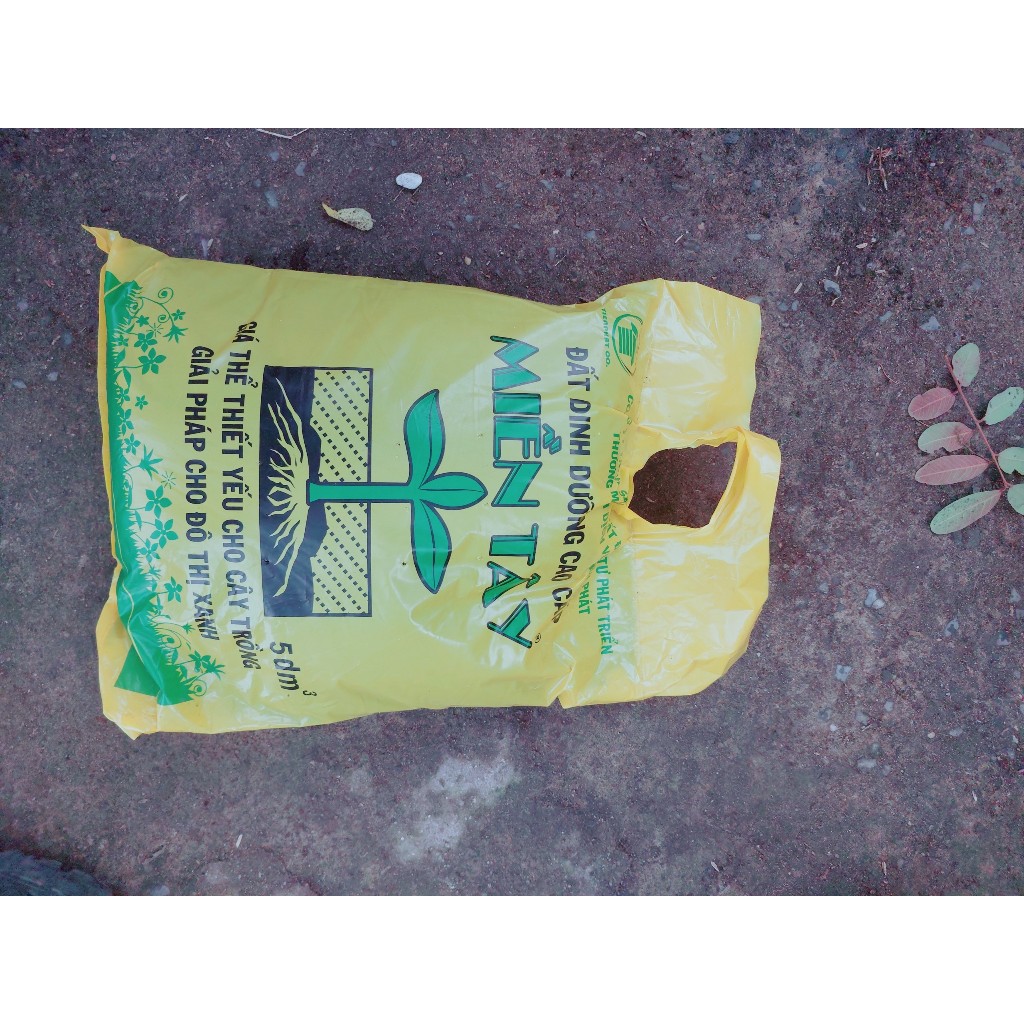Đất Trồng Cây 2.5kg