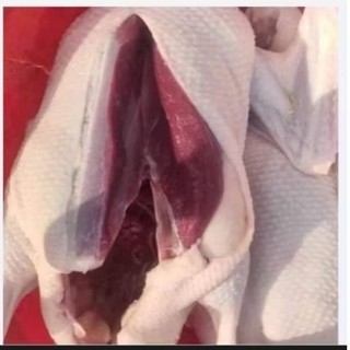 Vịt đồng nguyên con, vịt tươi thịt sẵn lòng mề huy.ết đầy đủ (nửa con bên đầu bên lòng)