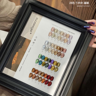 Set sơn mắt mèo ánh nước Suuseegel 28 màu - Nguyễn Thúy Hà