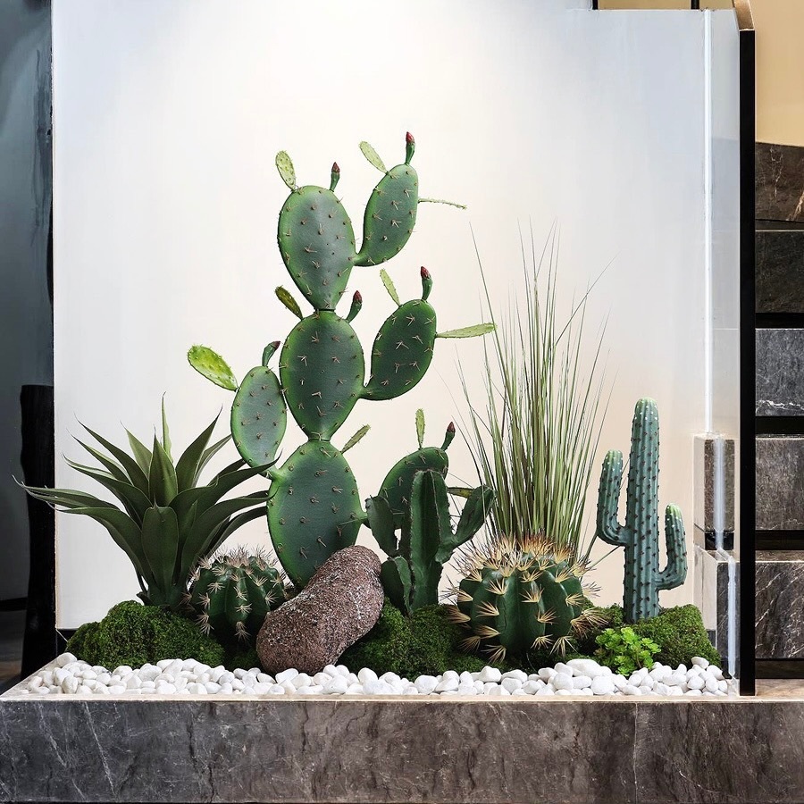 Xương rồng trụ đơn có gai ( loại ngắn và trung ) decor sân vườn, công trình