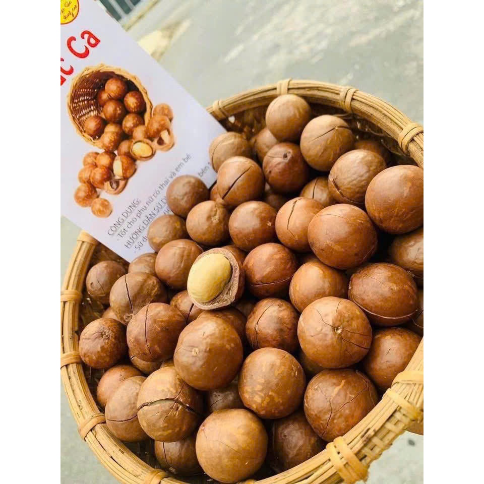 Hạt macca Lai Châu nguyên hạt loại 1 (500g 1kg) làm sữa, sấy khô từ hạt quả macca, mắc ca, mac ca hữ