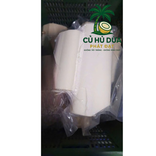 Củ Hủ Dừa Tươi 2kg (Phần Ngọn) Không tẩy Trắng & Không Hoá Chất Độc Hại - PHÁT ĐẠT