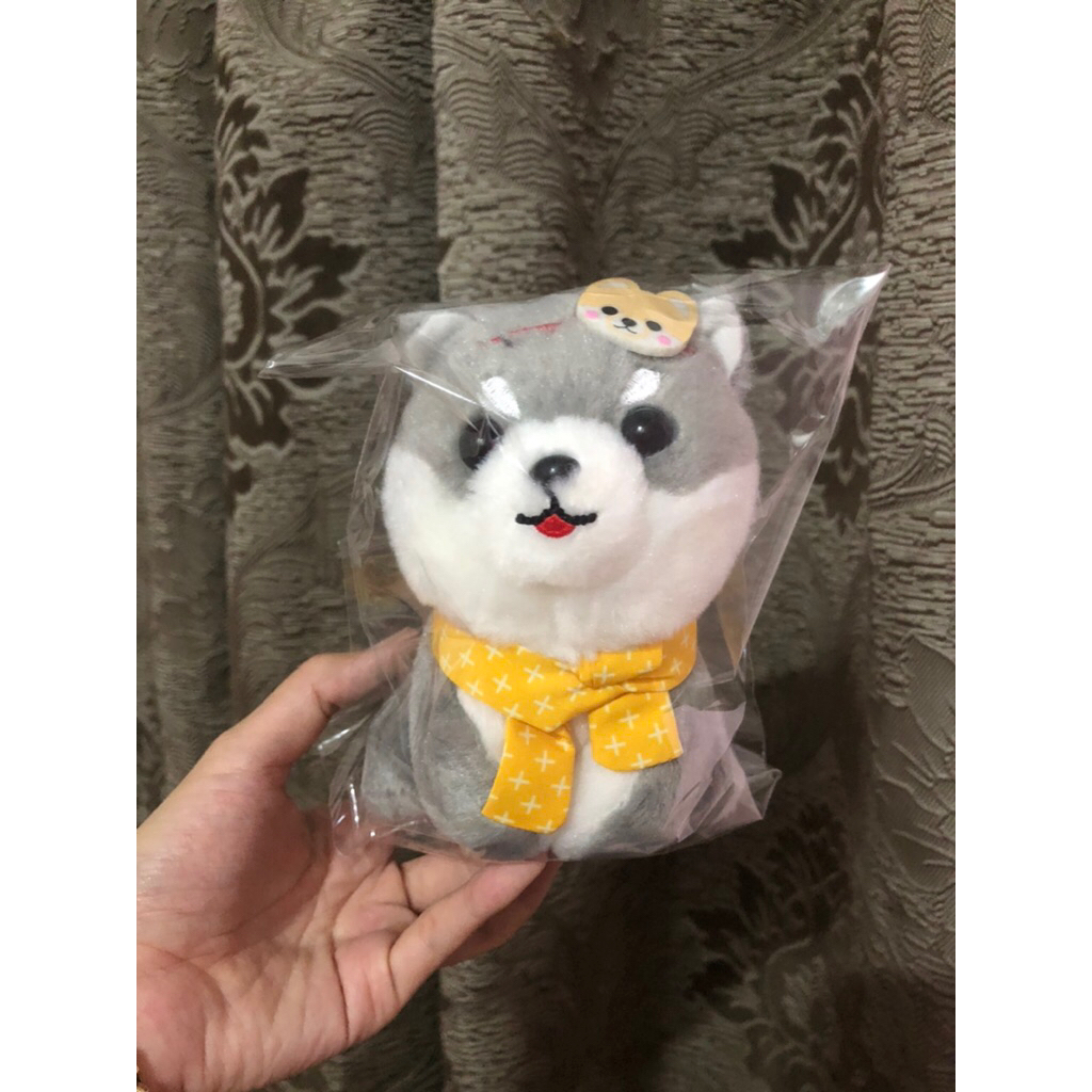 Gấu bông chó shiba Amuse mềm