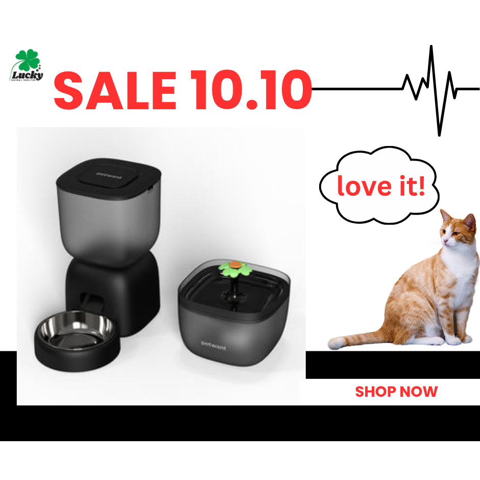 🍀BỘ ĐÔI MÁY CHO ĂN TỰ ĐỘNG WIFI 3L VÀ  MÁY LỌC NƯỚC 2L/ A SET WITH WIFI FEEDER 3L AND WATER FOUTAIN 2L⛲🥗