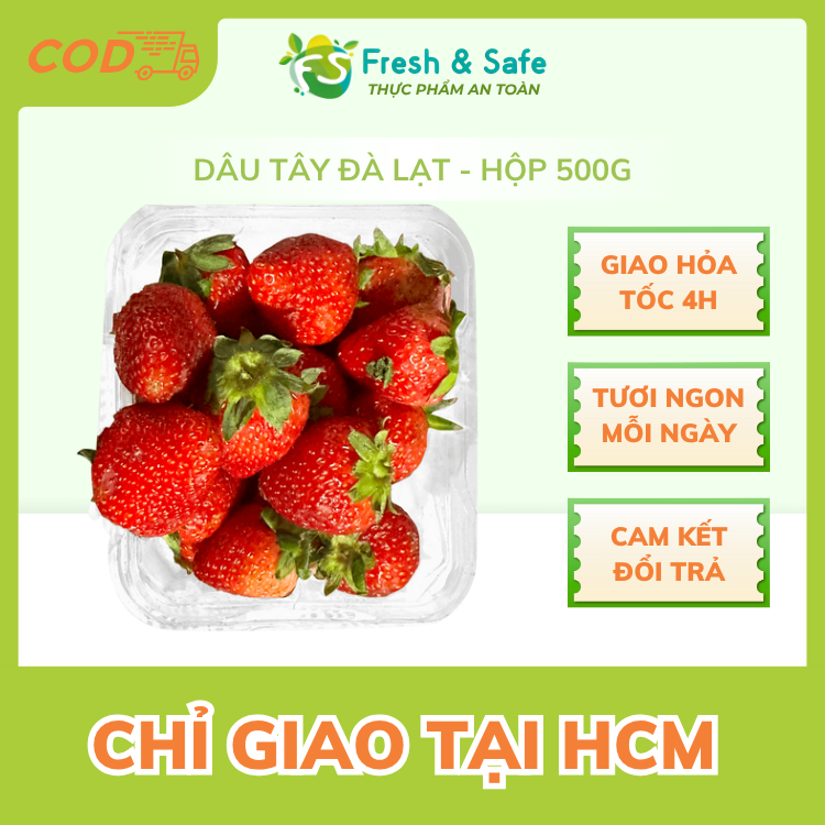 [Chỉ Giao HCM] Dâu tây Đà Lạt
