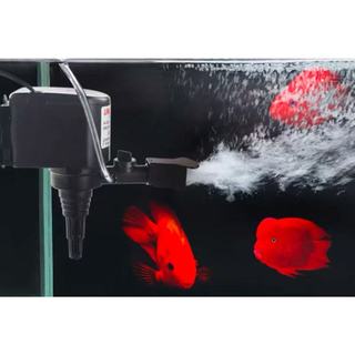 Máy bơm nước hồ cá Lifetech AP1200 - bơm nước hồ cá nhỏ.