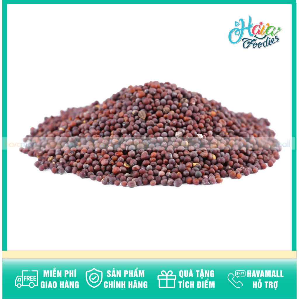 [HÀNG CHÍNH HÃNG] Hạt Mù Tạt Đen – Black Mustard Seed
