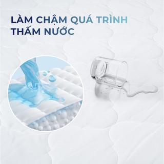 Tấm Bảo Vệ Nệm Liên Á 160X200cm,
